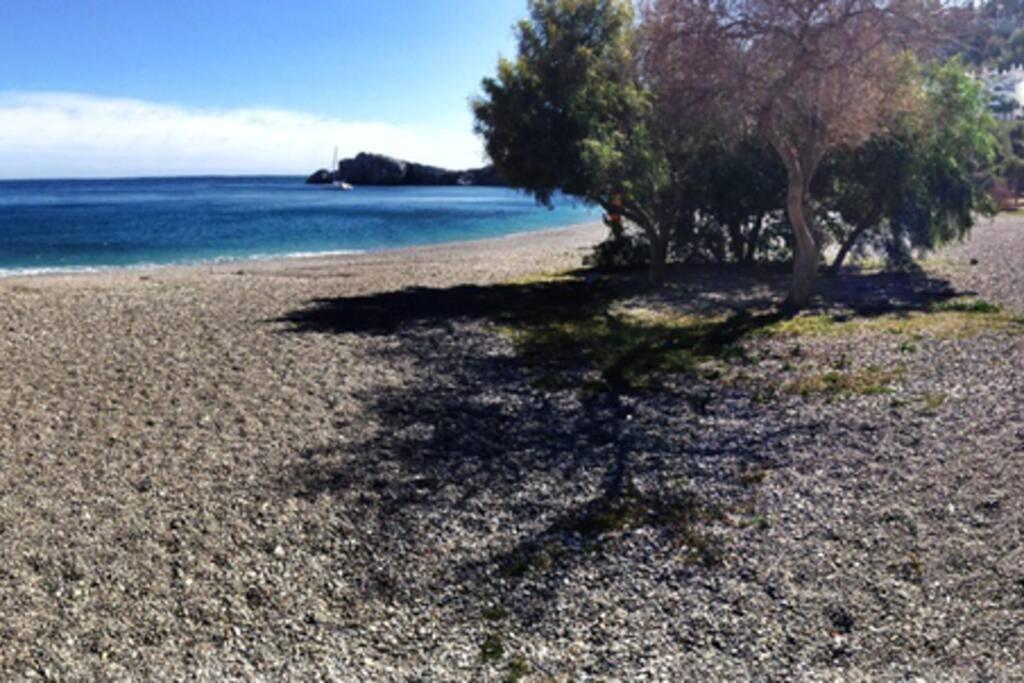 Coqueto Estudio En Puerto Deportivo De Marina Del Este อัลมูเญการ์ ภายนอก รูปภาพ